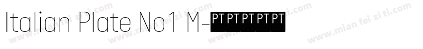 Italian Plate No1 M字体转换